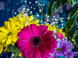 Magenta gerber among yellow flowers, bouquet closeup, valentine compliment