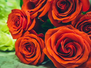 Macro bouquets of red and white roses, wedding card, birthday present, valentine compliment