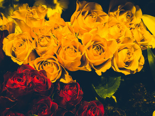 Many roses yellow and red, stylish valentine compliment, invitation card, macro flower