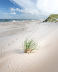 In the dunes of the Baltic see.