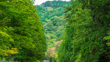 Obraz premium 日光東照宮