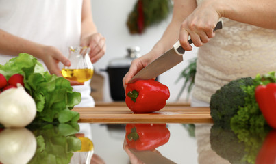 Closeup of human hands cooking in kitchen. Mother and daughter or two female friends cutting vegetables for fresh salad. Friendship, family dinner and lifestyle concepts