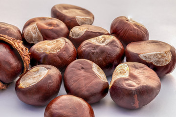 Kastanie