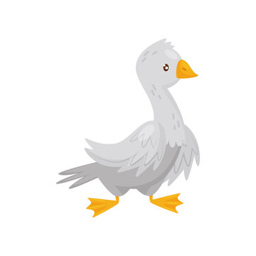 Flat vector icon of adult goose. Farm bird with white feathers, orange beak and legs. Domestic fowl