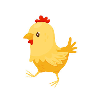 Cute yellow chicken with red scallop. Little farm bird. Flat vector for children book or mobile game