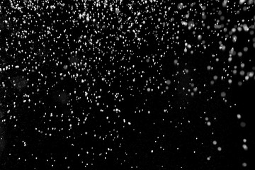 Falling Snow down On The Black Background