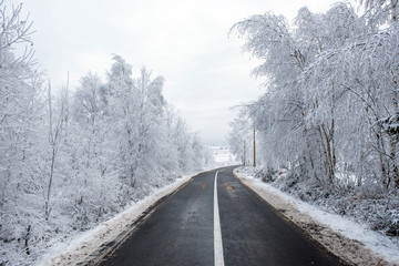 Winter asphalt road in forest