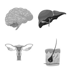 Vector design of body and human icon. Set of body and medical stock symbol for web.