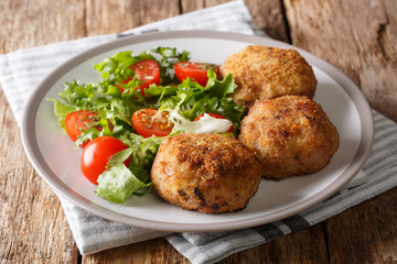 Karbonader Breaded Pork Patty Recipe with fresh vegetable salad close-up on a plate. Horizontal