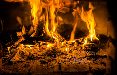 A few birch logs burning in the fireplace 