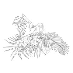 A composition of tropical plants, palm leaves