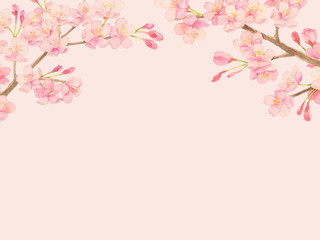 桜　水彩イラスト