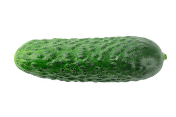 cucumber isolated on white background