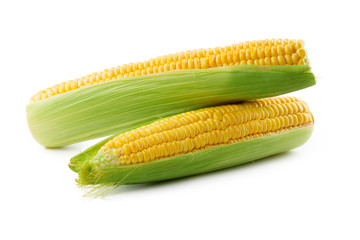Corn on a white background