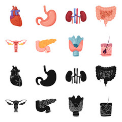 Isolated object of body and human icon. Set of body and medical vector icon for stock.