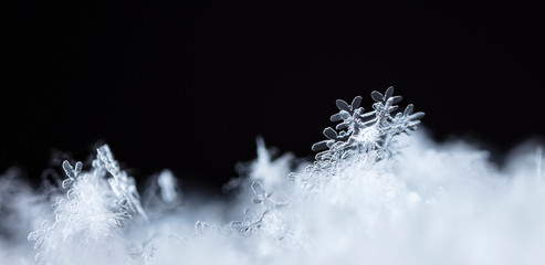 snowflake, little snowflake on the snow