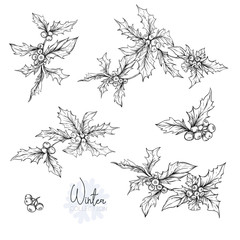 Set with a christmas plant