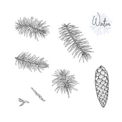 Set with a christmas plant
