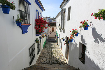 Narrow alley in Spanish town, white walls, colorful flower pots