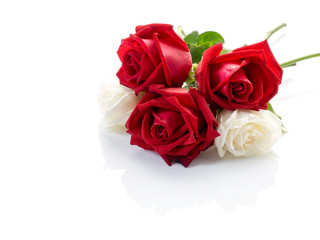 Fototapeta premium White roses with red roses on white