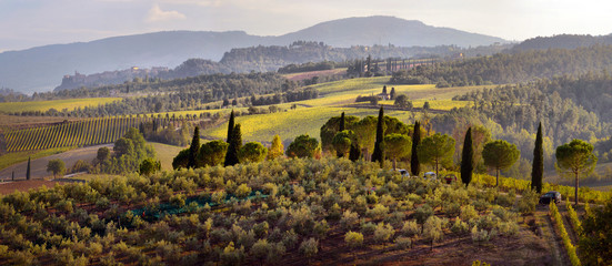 typical Tuscany countryside landscape; sunset over rolling hills