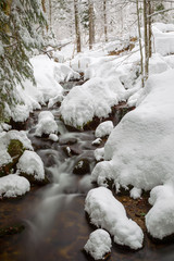 Long exposure of the Kleine Ohe, a small creek flowing through the snowy forest in the Bavarian Forest National Park in Bavaria, Germany.