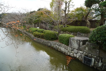 Fototapeta na wymiar 鶴岡八幡宮