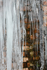 closeup icicles, ice bundles and icicles, abstract old brick wall background with crack ice, moss, and branches of bushes, set