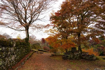 Fototapeta premium 岡城跡の石垣と紅葉のコラボレーションが美しい秋の風景