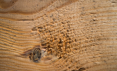 Old wooden texture. Crack Tree Texture.