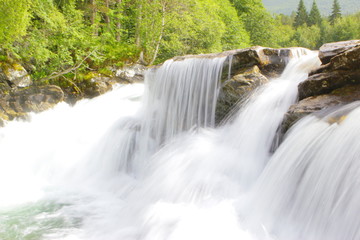 Obraz premium Waterfall in front of green trees