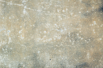 mildewed wall background