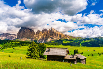 Beautiful view at Seiser Alm the green alpine plateau