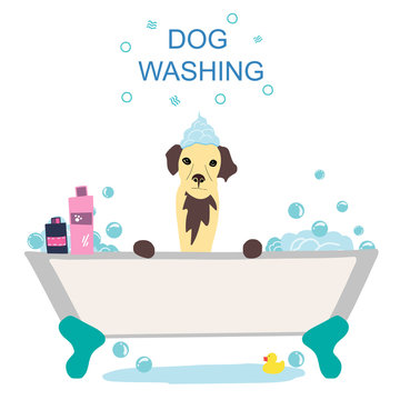 raster  image with dog in the bath and phrase Dog washing
