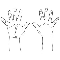 gesture hand graphics vector