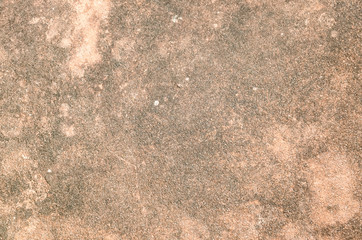 brown dirty mildewed wall