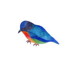Bird isolated on white background . Bird Hand painted Watercolor illustrations.