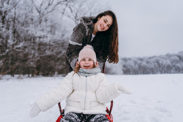 Little sisters have fun in the winter on the snow. Girls ride a sled in a park in the nature....