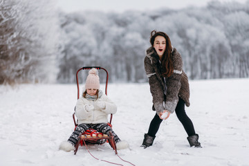 Little sisters have fun in the winter on the snow. Girls ride a sled in a park in the nature....