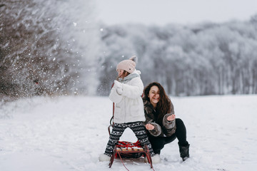 Little sisters have fun in the winter on the snow. Girls ride a sled in a park in the nature. riding on snow slides in winter time. little sisters have fun in the winter on the snow