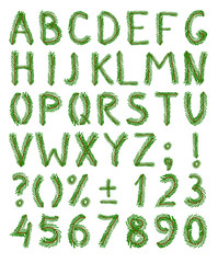 Fir tree green font