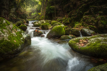 Fototapeta premium waterfall with manaltial water