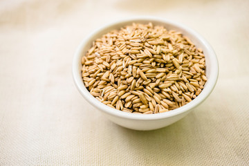 Whole grain oat in a cup