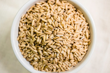 Whole grain oat in a cup