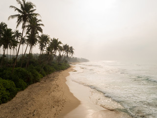 Landscape of tropical island beach with palm trees sunrise aerial shot 