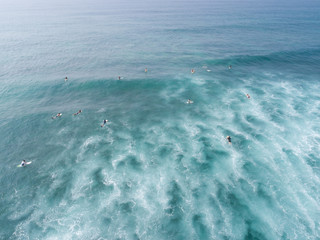 Obraz premium Top view from drone of surfers paddling for catching waves during surfing in the indian ocean