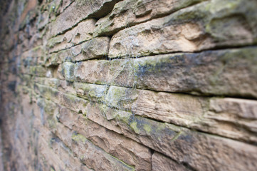 Weathered Brick Wall with cobwebs