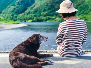 見つめ合う犬と人