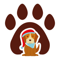 dog merry christmas card