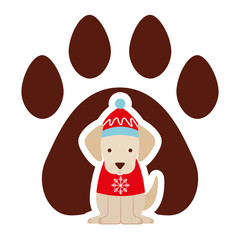 dog merry christmas card